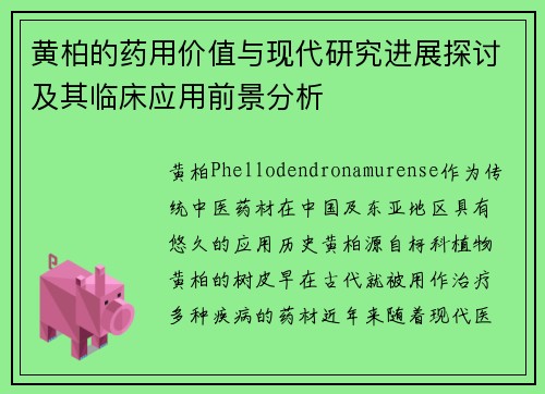 黄柏的药用价值与现代研究进展探讨及其临床应用前景分析